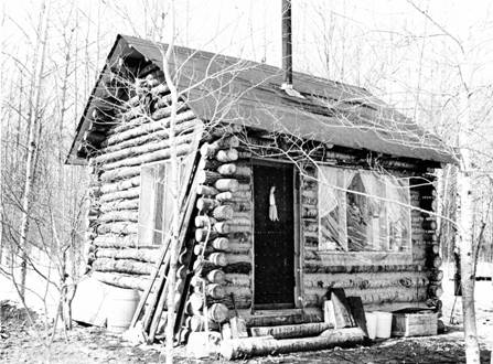 How to Build a Log Cabin