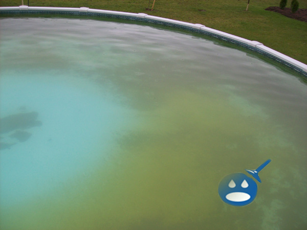 How to Fix a Cloudy Swimming Pool