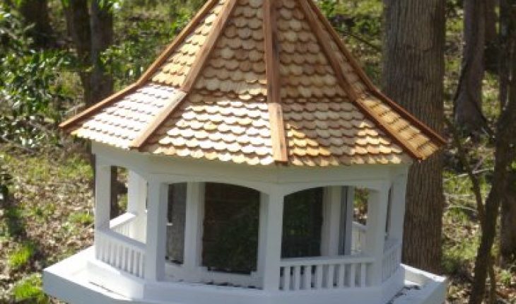 How To Build A Bird House For A Cardinal DIY And Repair Guides