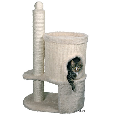 How to Build a Cat Scratching Post
