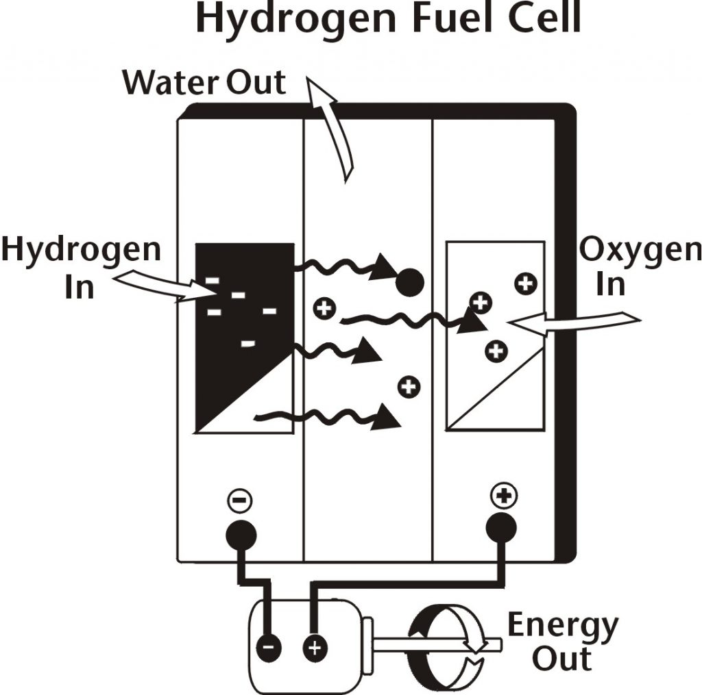 How to Build a Hydrogen Fuel Cell