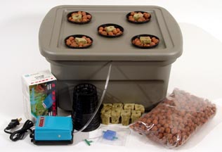How to Build a Hydroponic Grow System