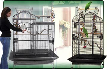 How to Build a Parrot Cage