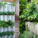 How to Make a Herb Garden