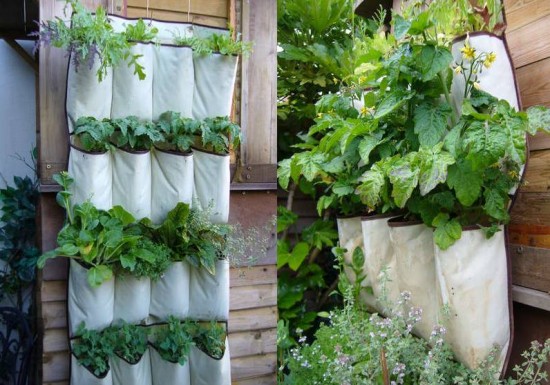 How to Make a Herb Garden