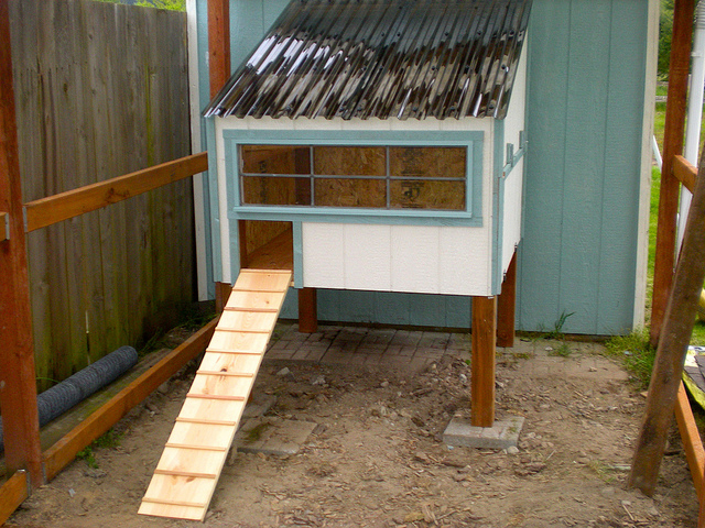 How to Build a Chicken Coop