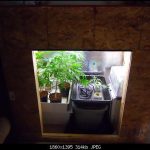 How to Build a Grow Box