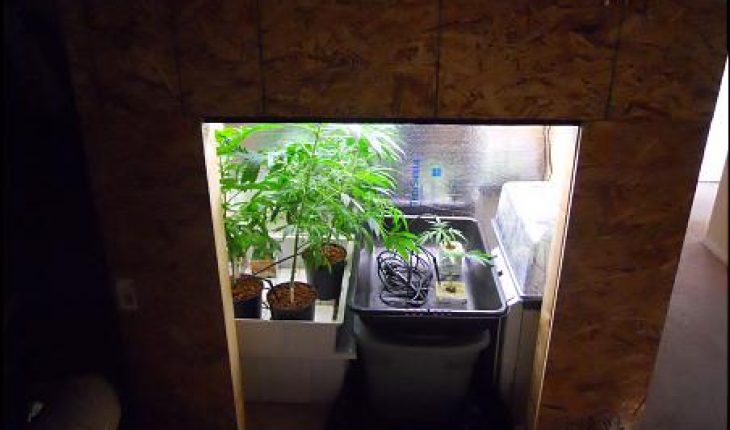 How To Build A Grow Box Diy And Repair Guides