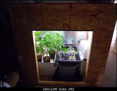 How to Build a Grow Box