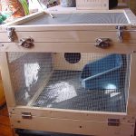 How to Build a Rabbit Hutch