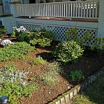 Front Yard Landscaping Ideas