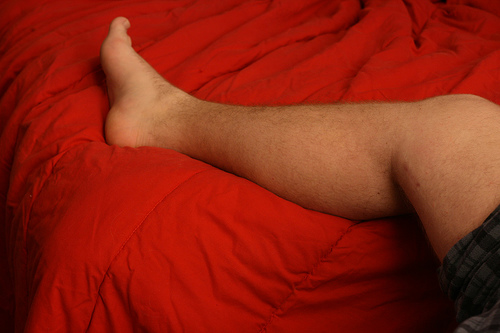 How to Build Leg Muscle