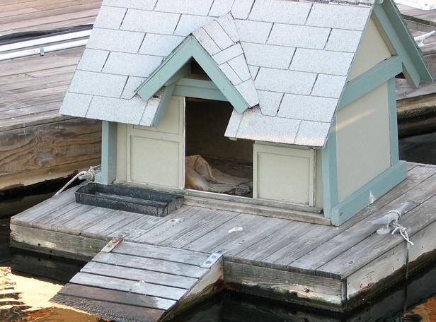 How to Build a Dog House