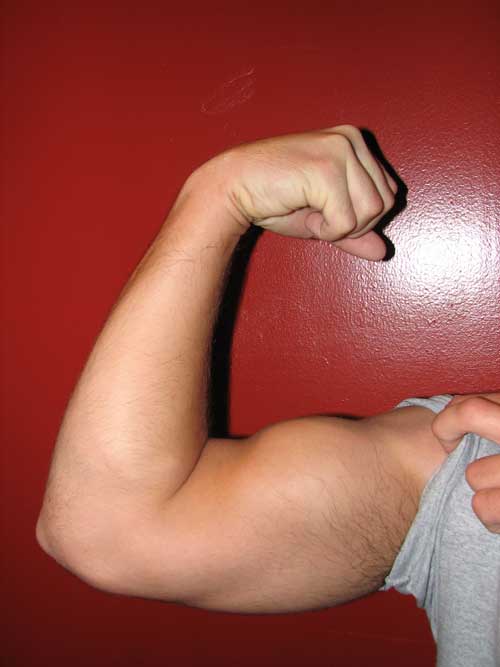 How to Build Arm Muscle