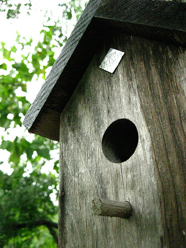 How to Build a Birdhouse