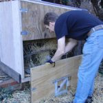 How to Build a Chicken Coup