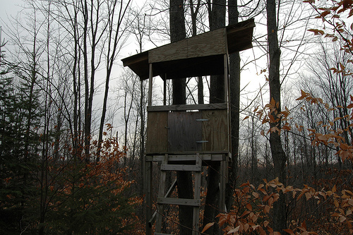 How to Build a Deer Blind