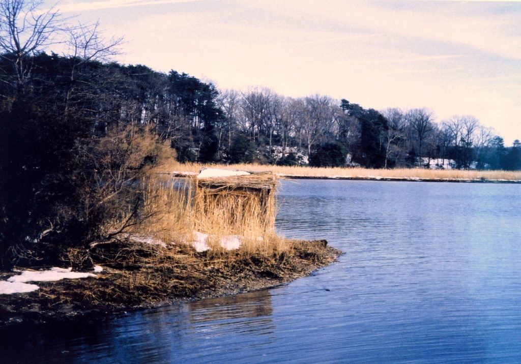 How to Build a Duck Blind