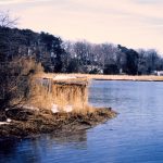 How to Build a Duck Blind