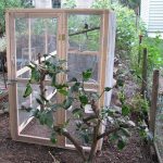 How to Build an Aviary