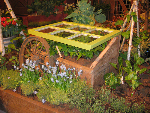 How to Build a Cold Frame