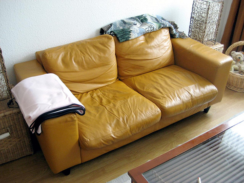 Leather Upholstery Cleaner