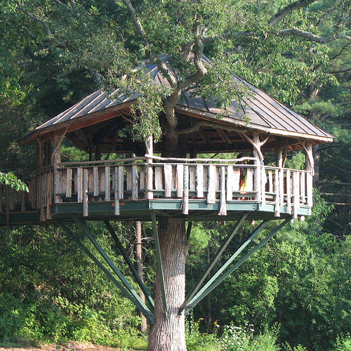 How to Build a Tree House