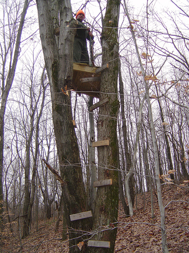 How to Build a Tree Stand