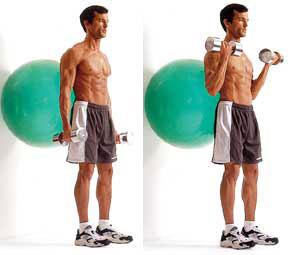 How to Build Big Arms