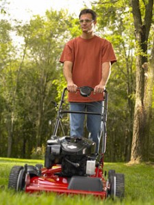 How to Maintain a Lawn